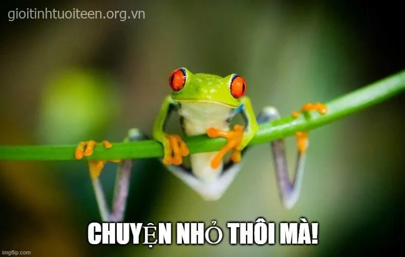 meme cố lên