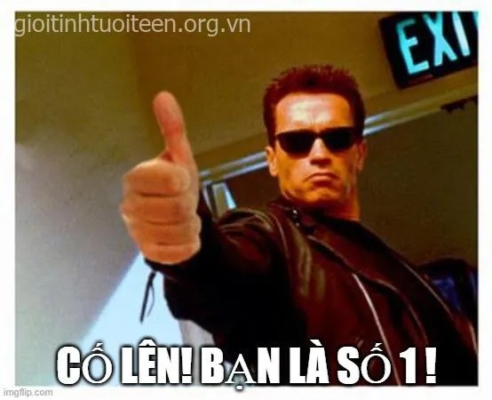 meme cố lên