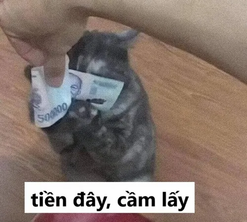 Meme Đưa Tiền