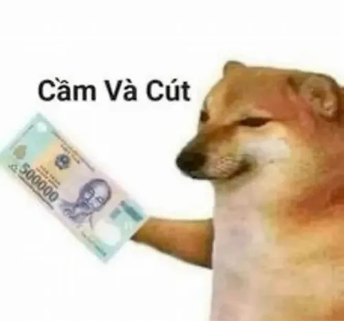 Meme Đưa Tiền