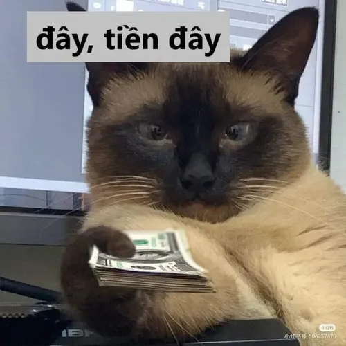 Meme Đưa Tiền