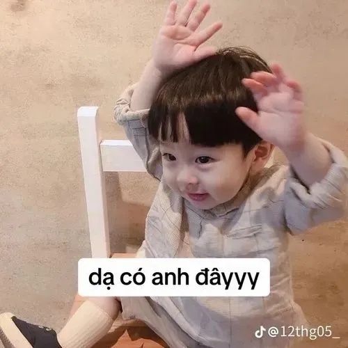 Meme Em Bé