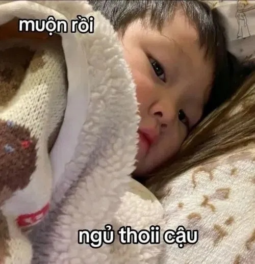 Meme Em Bé