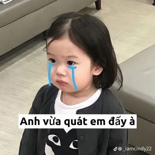 Meme Em Bé