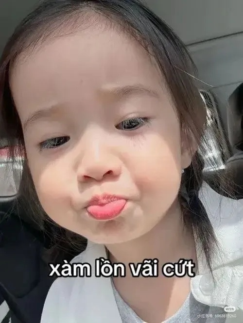 Meme Em Bé