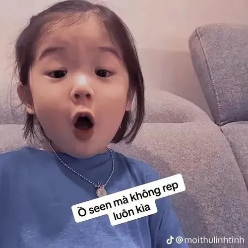 Meme Em Bé