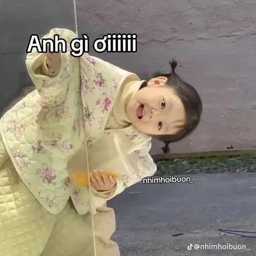 Meme Em Bé