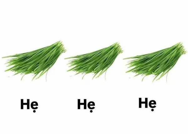 Meme Hẹ Hẹ hẹ