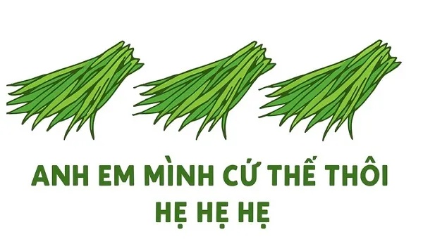 Meme Hẹ Hẹ hẹ