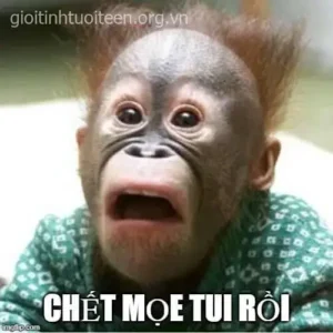Meme Hoảng Hốt