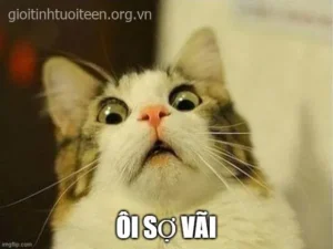 Meme Hoảng Hốt