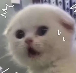 Meme Hoảng Hốt