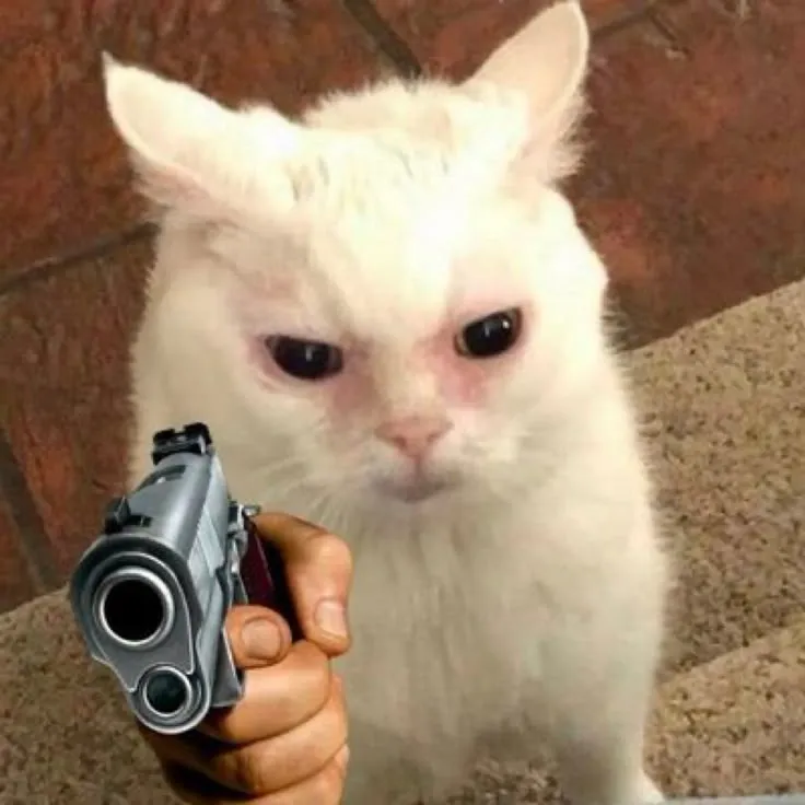 Meme mèo cầm súng