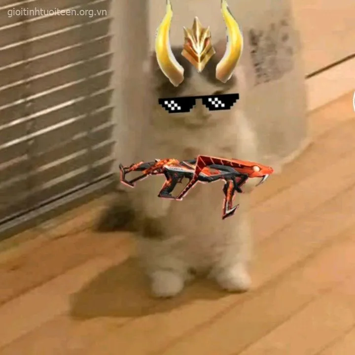 Meme mèo cầm súng