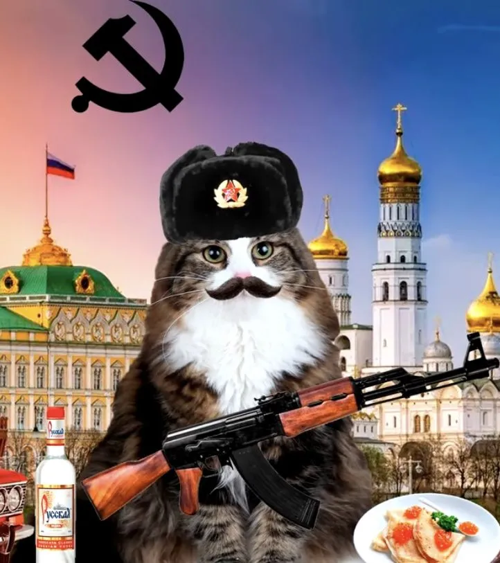 Meme mèo cầm súng