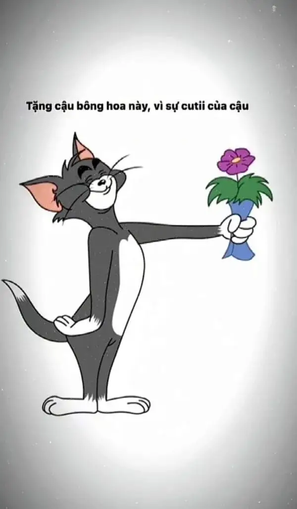 Meme Mèo Cầm Hoa