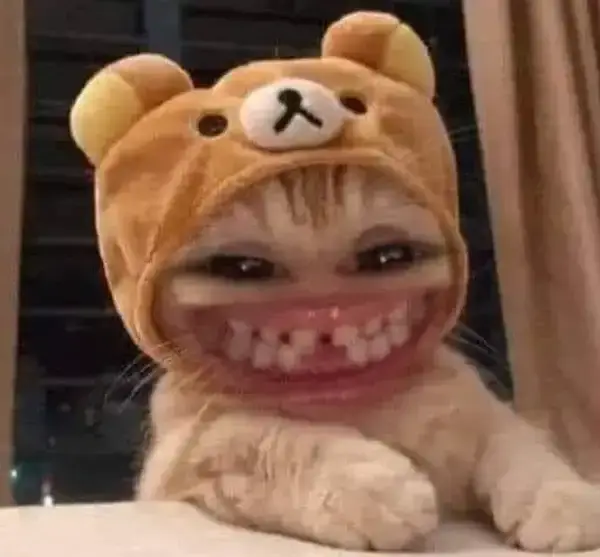 meme mèo cười nhe răng