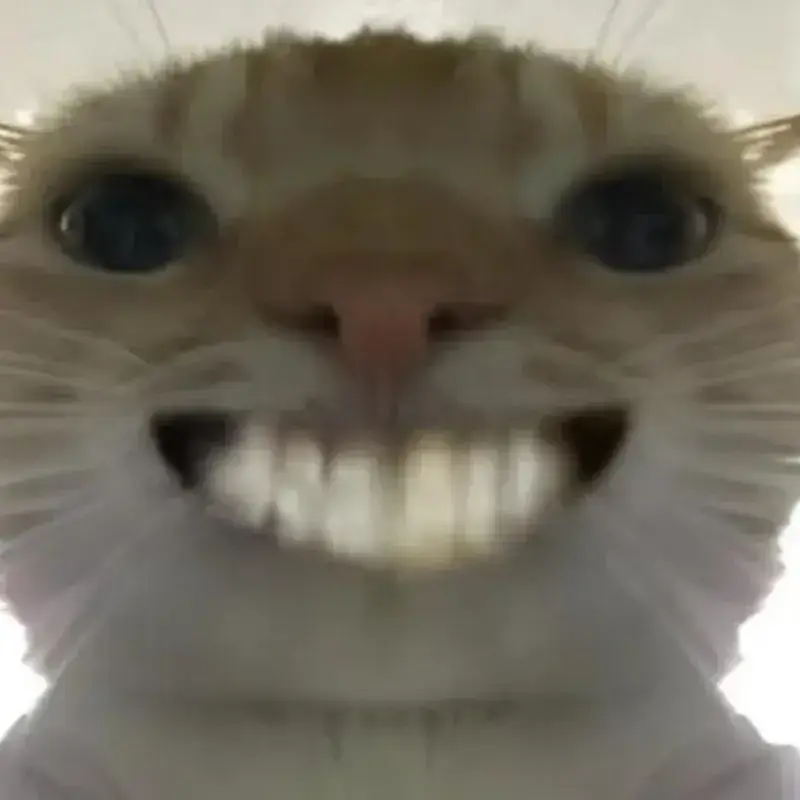meme mèo cười nhe răng