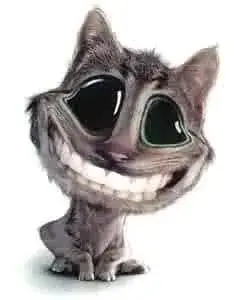 meme mèo cười nhe răng