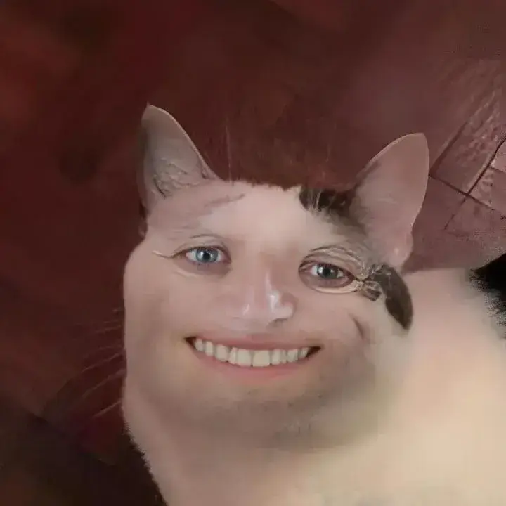 meme mèo cười nhe răng