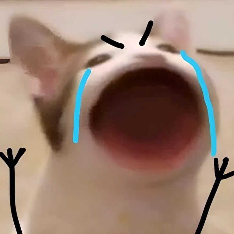 150+ Meme Mèo Khóc Đáng Thương, Buồn Cười Cực Mạnh