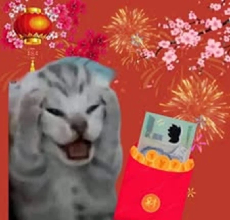 Meme Mèo Ôm Đầu