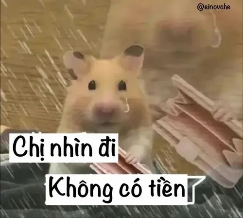 Meme Nghèo