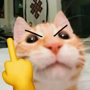 Meme Ngón Giữa