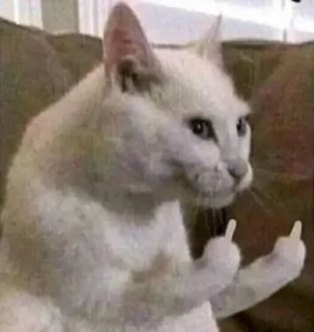 Meme Ngón Giữa
