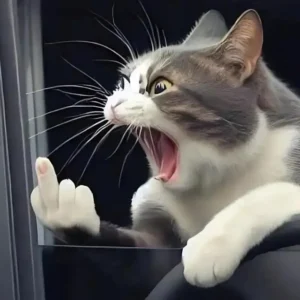 Meme Ngón Giữa