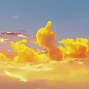 Meme Ngón Giữa