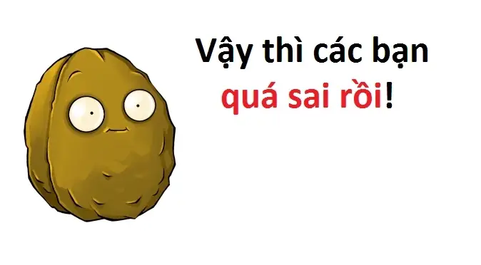 Meme Ngu