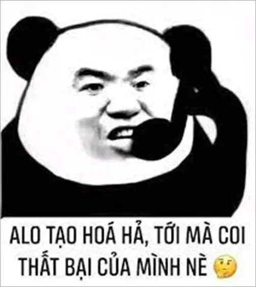 Meme Ngu