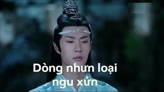 Meme Ngu