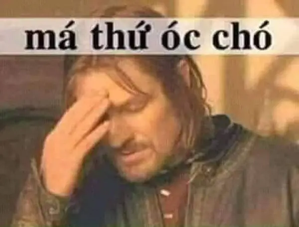 Meme Ngu