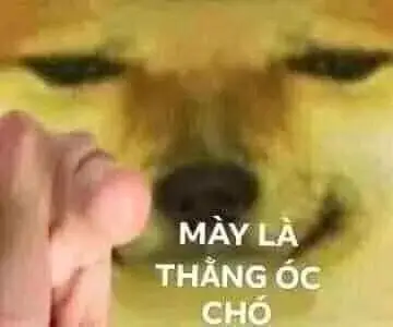 Meme Ngu