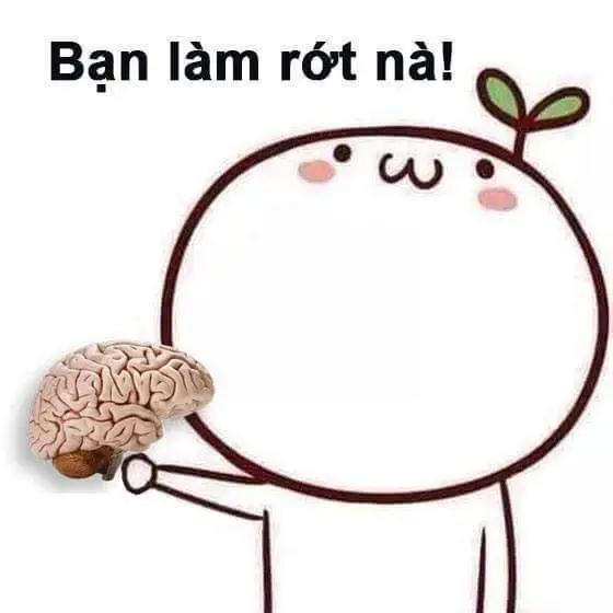 Meme Ngu