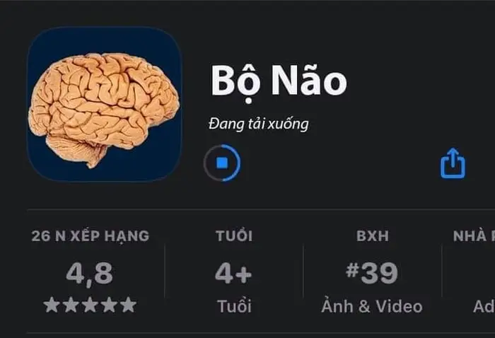 Meme Ngu