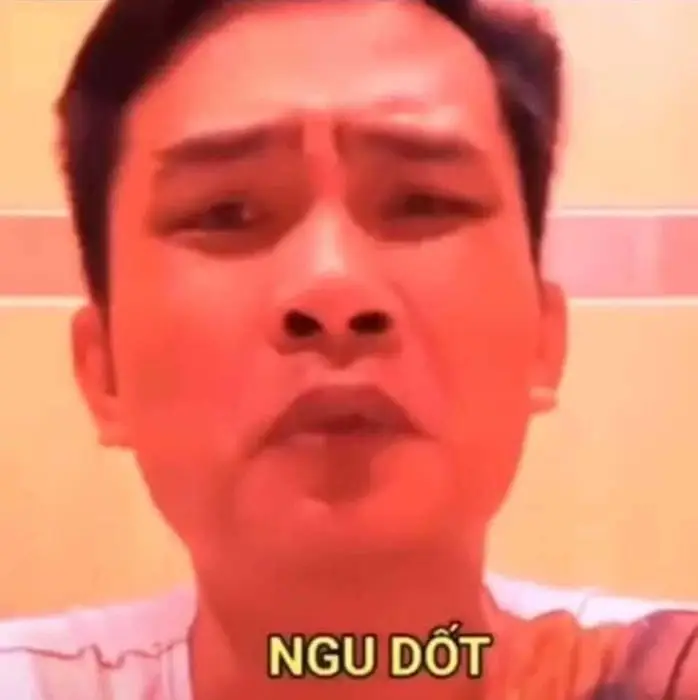 Meme Ngu