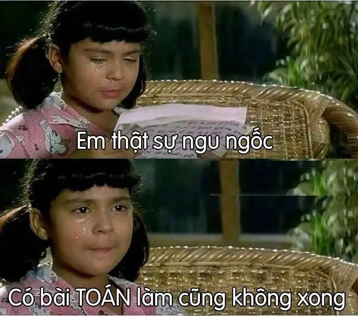 Meme Ngu