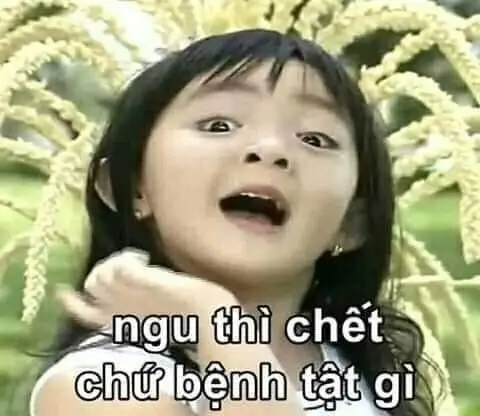 Meme Ngu