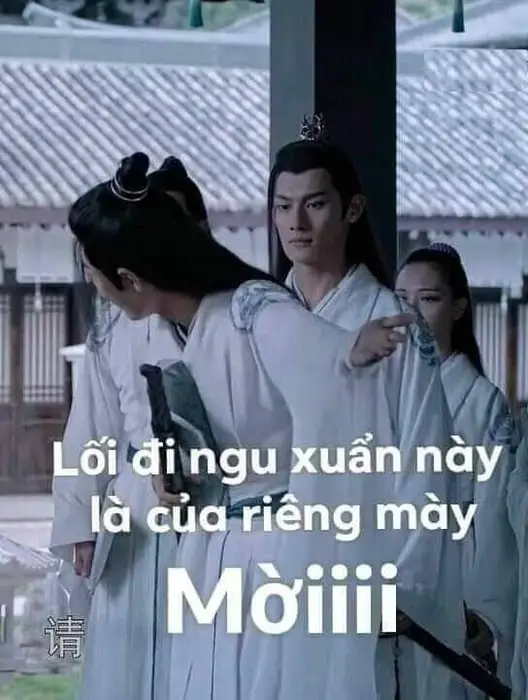Meme Ngu