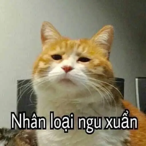 Meme Ngu