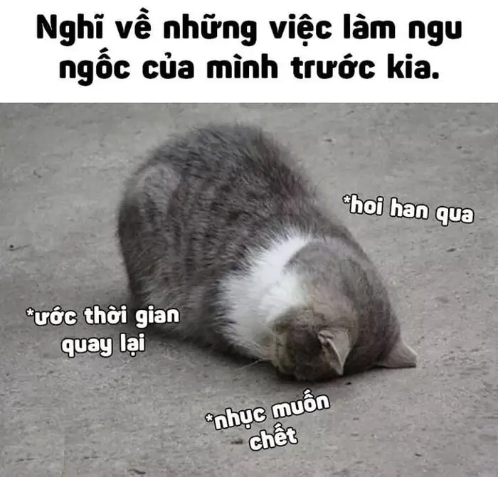 Meme Ngu