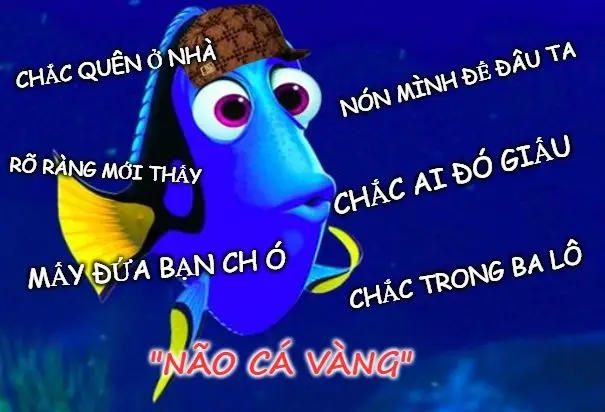 Meme Ngu