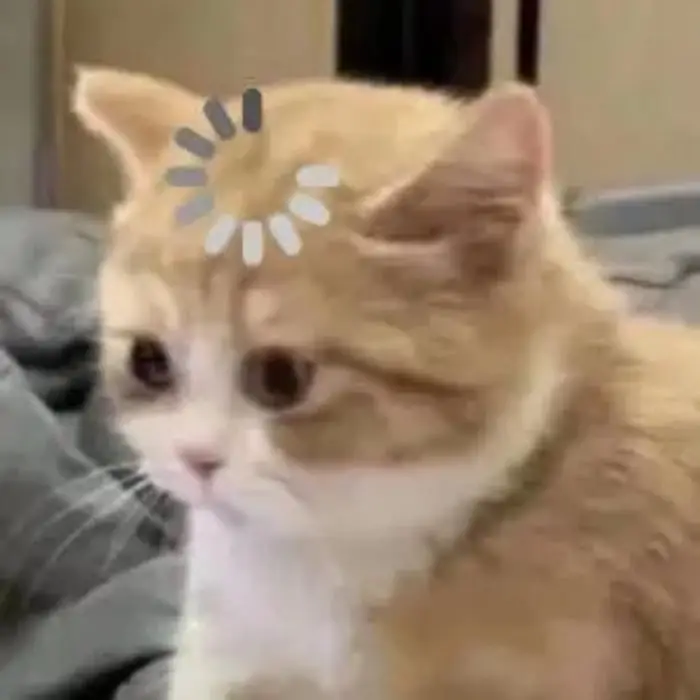 Meme Ngu
