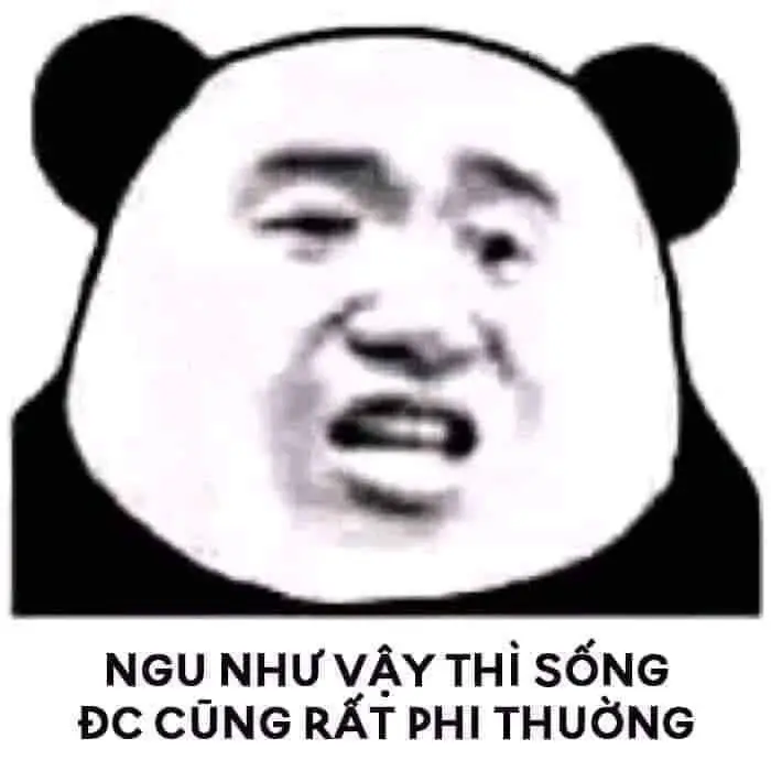Meme Ngu