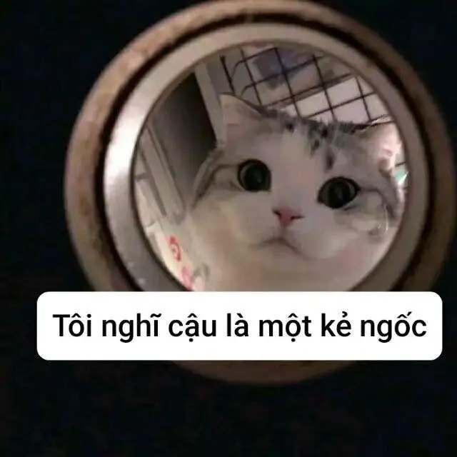 Meme Ngu