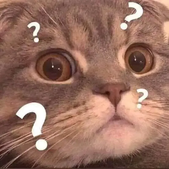 Meme Ngu