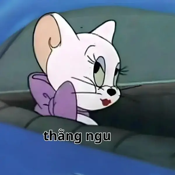 Meme Ngu